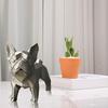 Yousheng French Bulldog Statue 3D Printed Standing Dog Figurine PLA Animal Sculpture Home Office Bookshelf Desktop Decoration Ornament