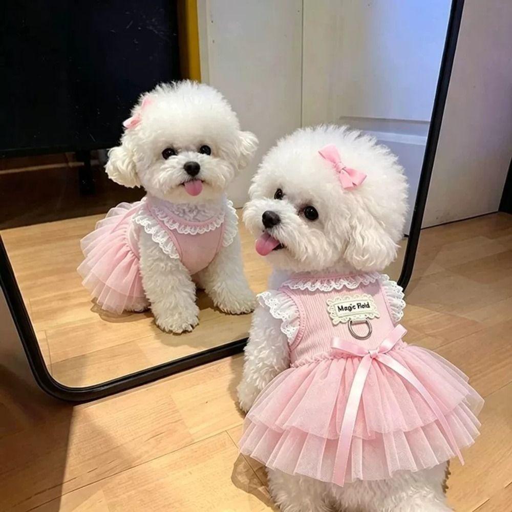 Pink Cat Princess Dresses Lace Tutu Dog Princess Dresses Cute Dog Sundress Daily Wear