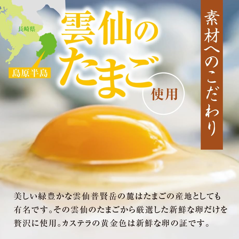 Settella Winter Gift Nagasaki Castella 250g 9-slice cut 1 piece included Year-end Celebration Return Offering Memorial Service Condolence