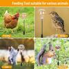 Automatic Chicken Feeder Toy With 3 Hole Dispenser Spring Mechanism For Poultry Entertainment Feeding Equipment