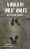 Книга A Walk In "Wild" Wales with George Borrow
