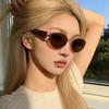 Brown Sunglasses For Women, Vintage Cat Eye Frame, Versatile Sunglasses
