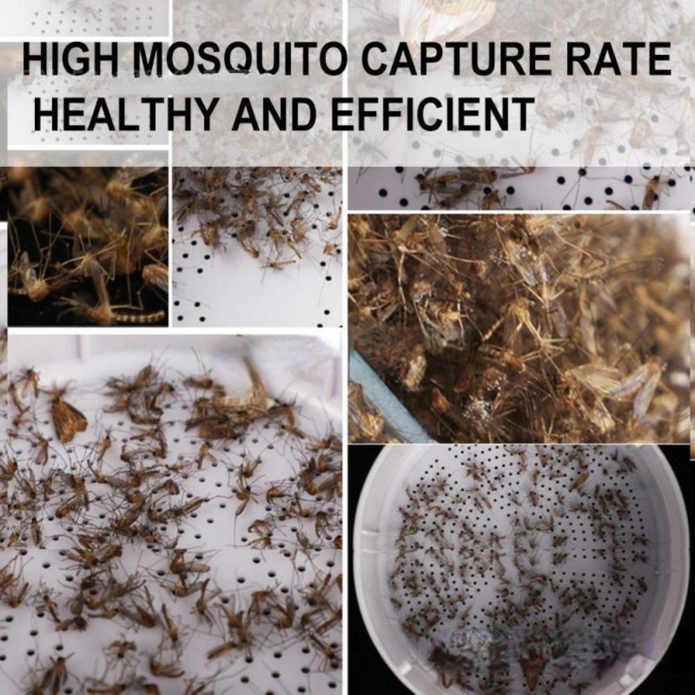 5 шт. светодиодная лампа от комаров, 360°, мини-УФ-лампа от комаров, лампа от комаров, репеллент от комаров, питание от USB, портативный, легко чистится