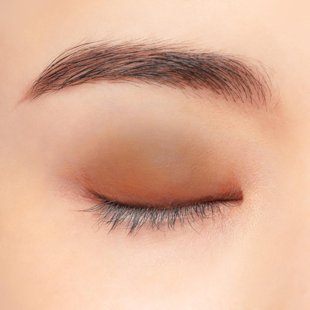 Chacott MA10 Matte Brown Multicolor Variation [MATTE]