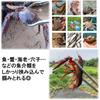 NOELAMOUR Fish Grip, Crab Claws, Fish Grabber, Fishing, Outdoor Fishing Equipment (Red)