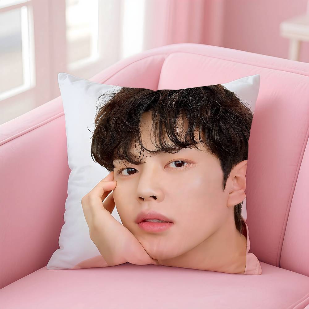 Korean s-Song k-Kang Pillow Case Pattern Printing Pillowcase Living Room Sofa Cushion Cover Bedroom Room Decor