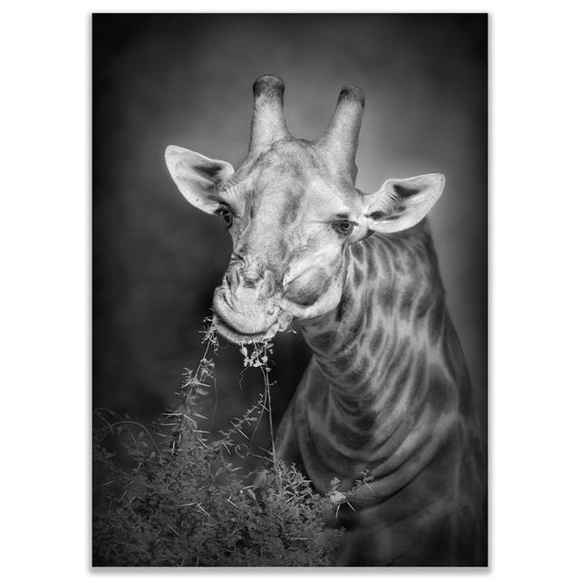 Черно-белые настенные постеры с животными, принт, носорог, жираф, зебра, лев, слон, холст, картина, настенное искусство, декоративные домашние фотографии