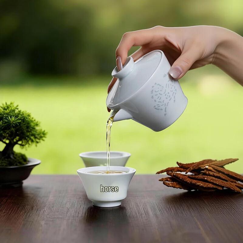 Портативный набор для кунг-фу чая AoWei Jingdezhen