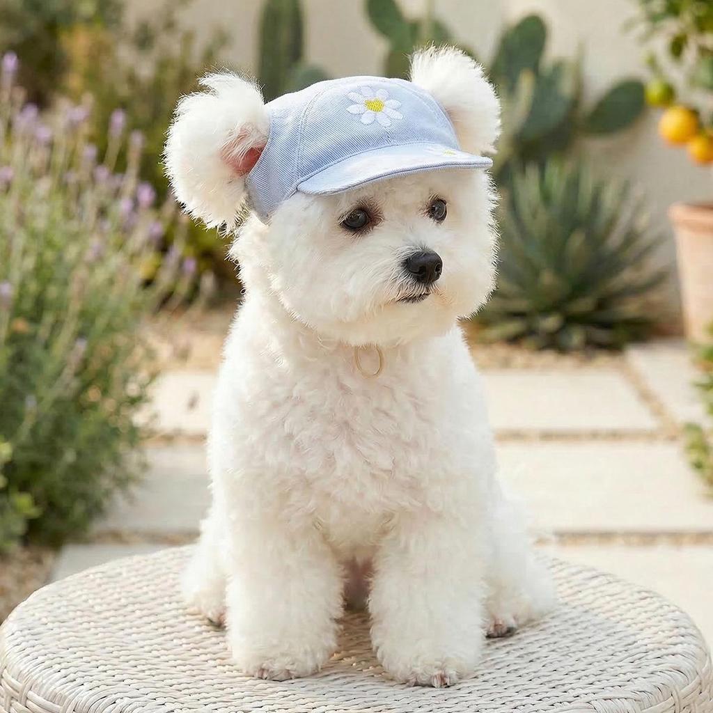 Летняя коллекция бейсбольных кепок PETCIRCLE для собак и кошек