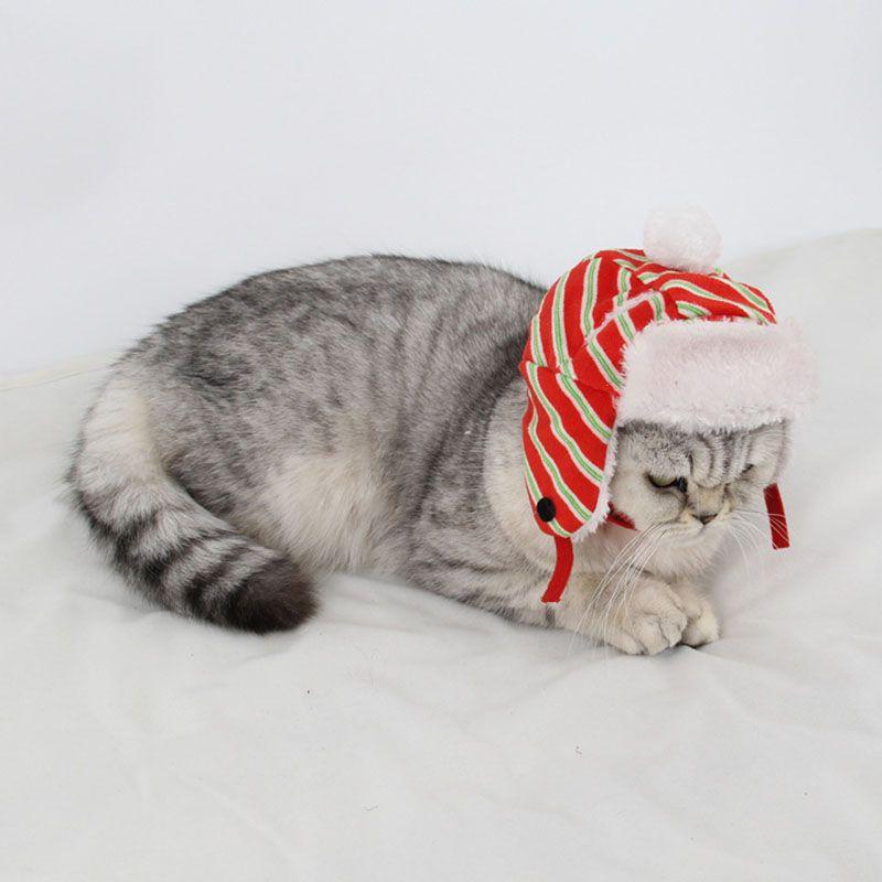 Универсальные Хэллоуин Рождество Питомец Кошка Собака Плюшевая Шапка Мишка Волшебник Тыква Головной убор Шапки