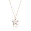 Star Figured Magnolia Flower Rose Color Flowers Silver Necklace