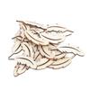 25Pcs Wood Slices Cute Feather Shaped Unfinished Chips Wooden Crafts for Decoration
