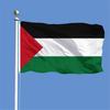 Sky Flag Large Palestine Flag 150 X 90cm Hanging High Quality Polyester Gaza Palestinian Banner