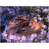 Diamond Embroidery Full Round Daimond Painting Forest Sika Deer Rhinestone Paintings Wall Sticker