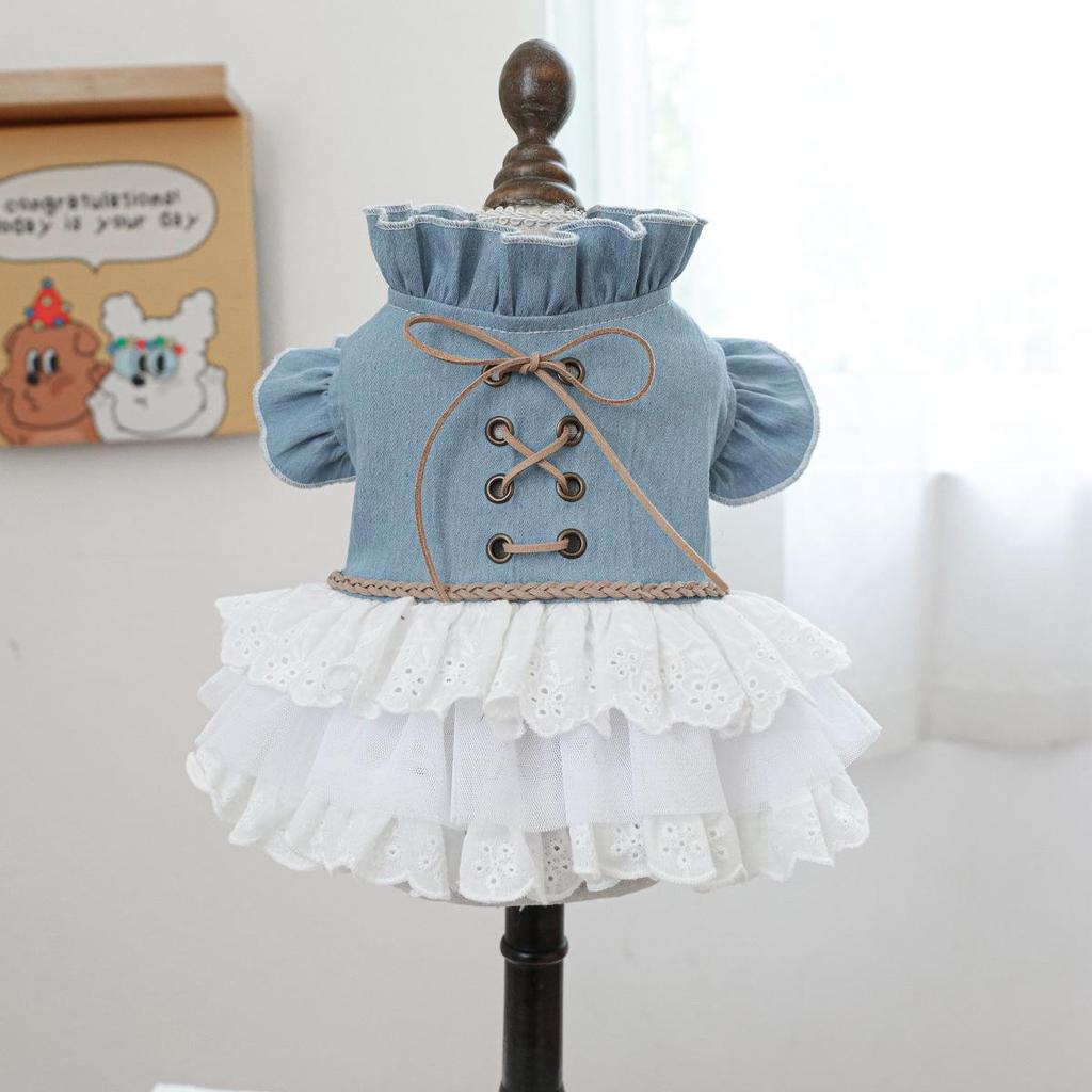 Платье-подтяжка из денима с цветочным принтом Pet Circle для маленьких и средних собак: Издание «Красный цветок»