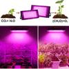 50W 100W 200W 300W Phyto Lamp 220V Full Spectrum Light Uv Plant Led Grow Light For Greenhouse Hydroponic Flowers Seeds Phytolamp