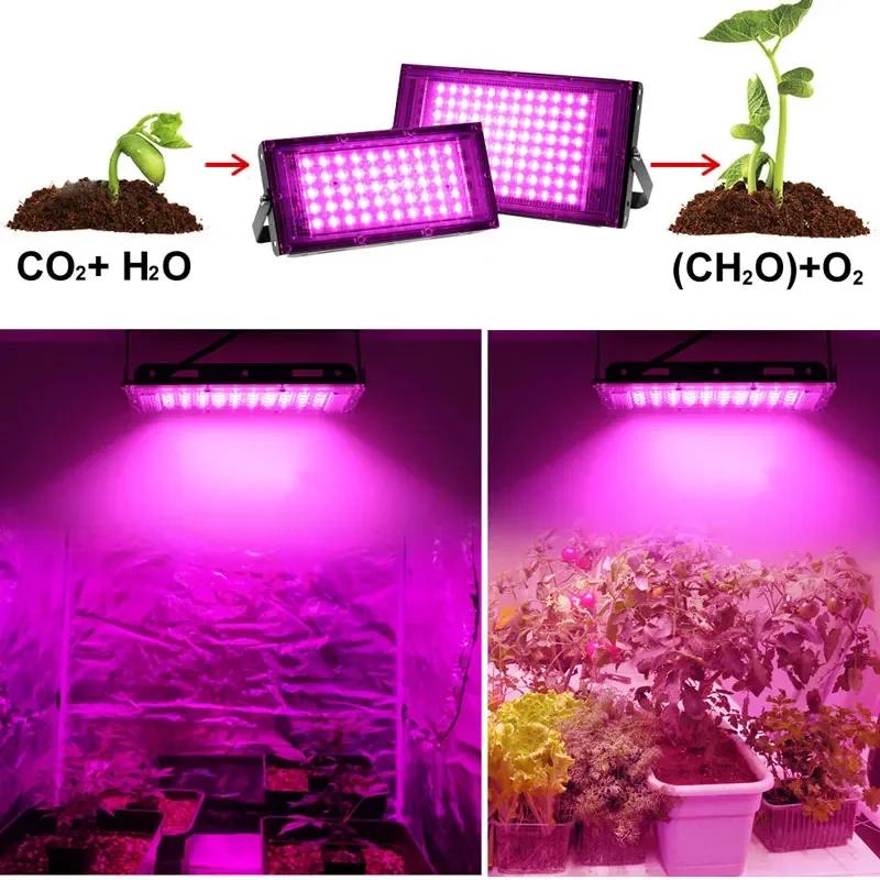 50W 100W 200W 300W Phyto Lamp 220V Full Spectrum Light Uv Plant Led Grow Light For Greenhouse Hydroponic Flowers Seeds Phytolamp