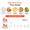 Wellbeing Nutrition HydraSalt Электролитный напиток без добавления сахара | 5 электролитов и 3 витамина для мгновенного увлажнения, энергии, производительности и