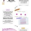 HOLIKA HOLIKA Румяна для подбора оттенка Серия Clean - 3 цвета