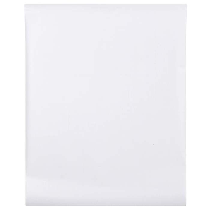 Maison Exclusive - Film pour fenêtre dépoli blanc 45x1000 cm PVC