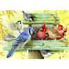 5D Diamond Painting Animal Bird Full Diamond Mosaic Diy Cross Stitch Set Garden Home Decoration Christmas Gift
