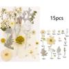 495Piece Dried Flower Craft Set Including Pressed Blooms and Butterfly Stickers for Resin Art and Journal Decorating