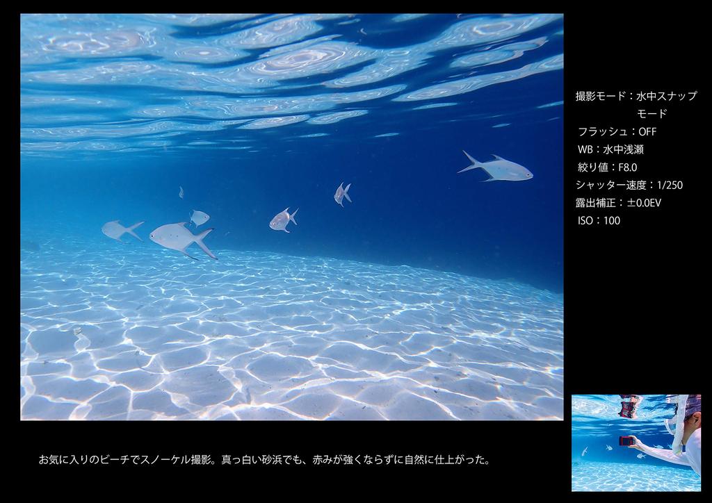 Цифровая камера OM Tough Black 12 мегапикселей CMOS Водонепроницаемость 15 м Грузоподъемность 100 кгс GPS СИСТЕМА/OLYMPUS TG-6 F2.0 Встроенный Wi-Fi TG-6BLK