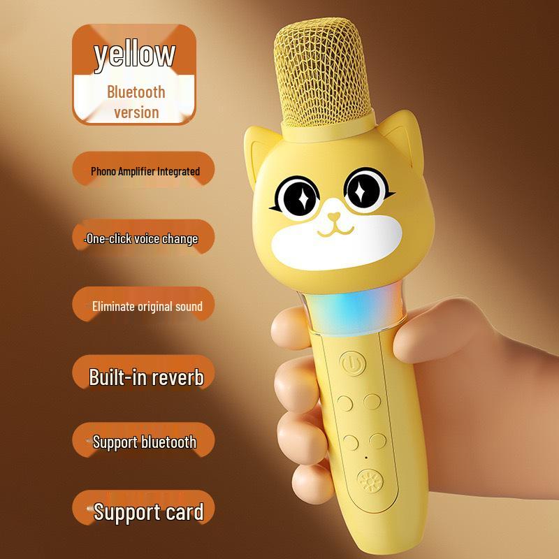 Wireless Kids' Karaoke Microphone & Speaker: Echo, Singing, & Early Education Toy for Little Girls