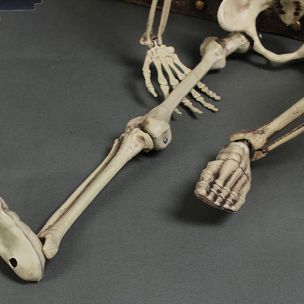 2025 Украшение на Хэллоуин Ужасная анатомия Подвижный скелет Череп Реквизит на Хэллоуин Подвижный скелет в натуральную величину Реквизит Череп 170 см
