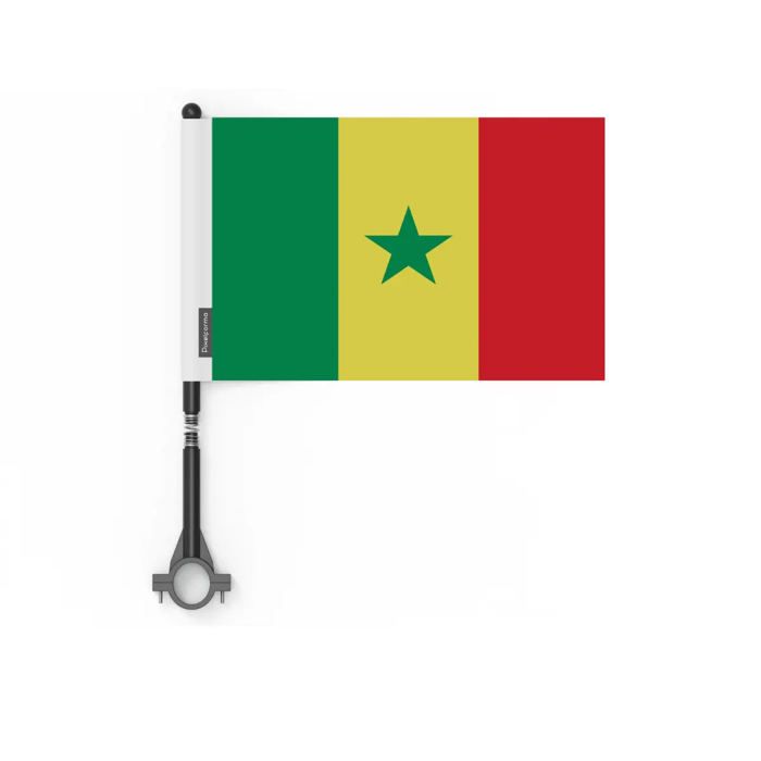 Drapeau - Sénégal - 10 Pièces - 14 X 21 Cm - Polyester - Impression Recto/verso