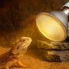 Full Spectrum Pet Heating Bulb Dimmable Turtle Basking Lamp Durable Heat Lamp  Lizards Habitat
