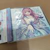 [USED] Sasso Paradigm / Meiko Nakamura Doujinshi El Mizuka Ryuhime Aruna Cittan*