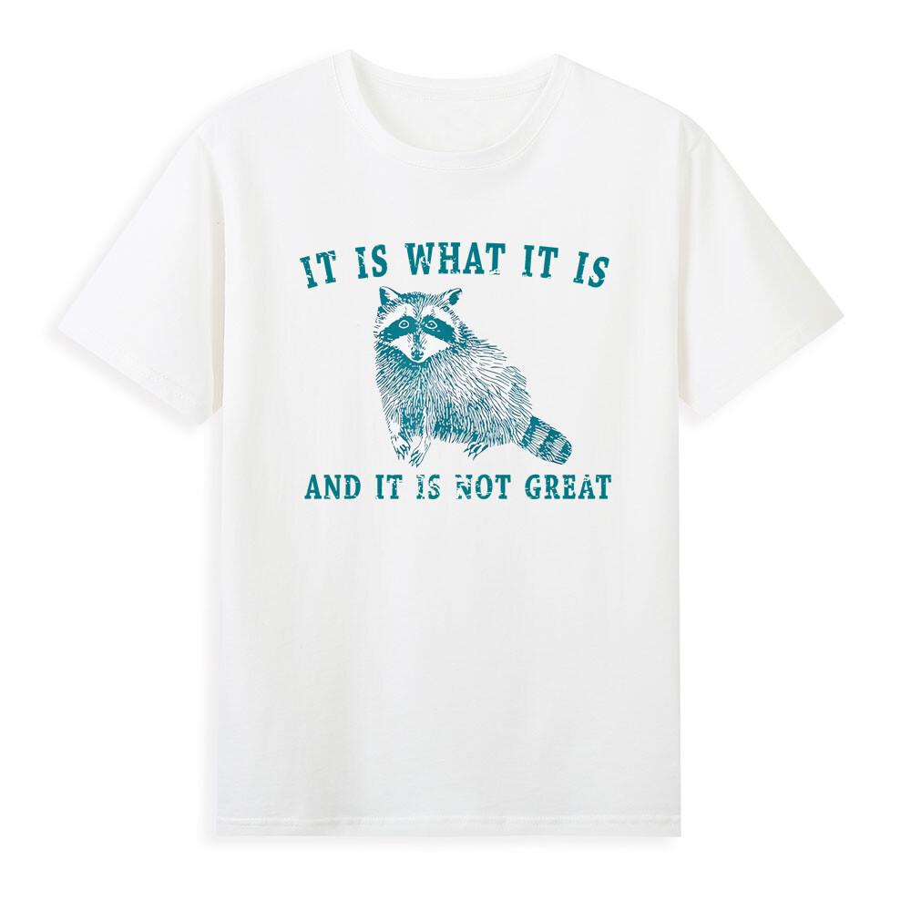 It Is What It Is And It Is Not Great Funny Raccoon Meme Sarcastic Quotes Tshirt