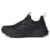 Terrex Free Hiker 2.0 Low GORE-TEX Black Grey Мужские кроссовки Core-Black Grey-Six IE7652