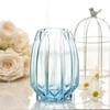 Nordic Simple Large Glass Vase Transparent Color Hydroponic Rich Bamboo Lily Rose Vase Living Room Flower Arrangement Ornaments