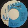 7-дюймовая пластинка LIEUTENANT STITCHIE Wear Your Size NONE Jammys Records 1987 Ямайка Регги Ска Даб Б/у