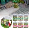 Scene Simulated Bush Scale Doll Grass Model Simulation Model Grass Tuft Building Grass Mate