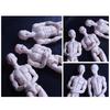 1/6inch Male Doll Blank Body Nude Mannequin Doll For Craft Customization And Replacement Model for Ball Joint Doll