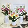 Phalaenopsis Flowers Artificial Decorative Plant For Home And Decoration Event