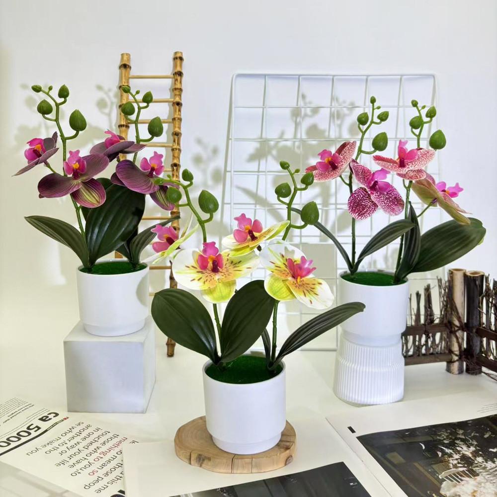 Phalaenopsis Flowers Artificial Decorative Plant For Home And Decoration Event