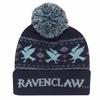 HARRY POTTER Unisex Adult Snow Ravenclaw Beanie