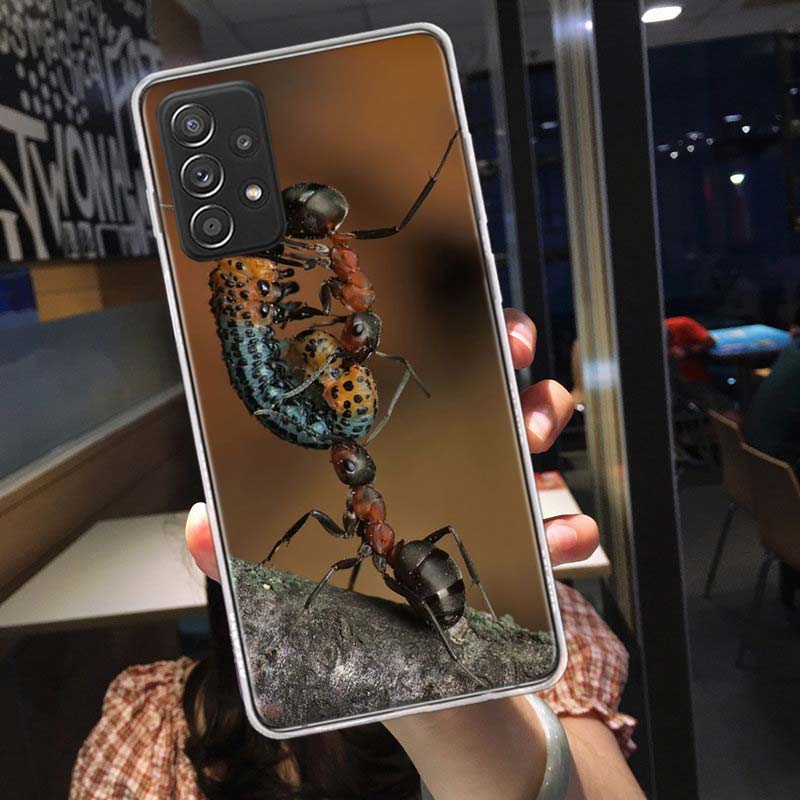Красные огненные муравьи, Рабочие муравьи Чехол для телефона для Samsung A54 A57 A37 A17 A14 A15 A12 A24 A34 A55 A35 A25 A52S A07 A05S A04S A22 A32 A72