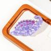 Acrylic Cute Cartoon Dinosaur Hair Claw Women Girls Simple Kawaii Hair Grab Clip Back of Head Hair Shark Clip Style Accessories
