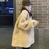Lamb Wool Coat Women's Autumn and Winter Small High-end Thickened Top Korean Polar Fleece New Clothes