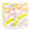 Tie Dye Planter (Small) (Aloe Gorgeous)