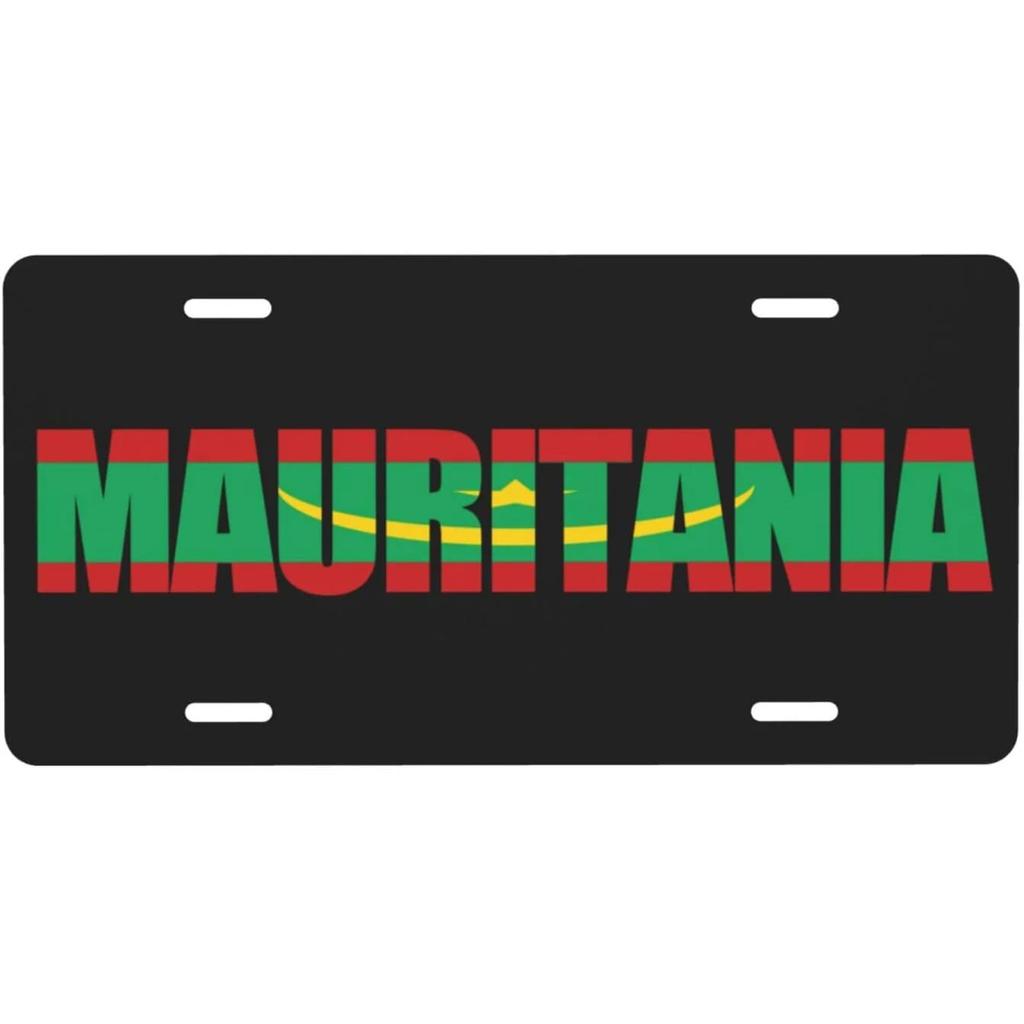 Vintage Plaque America Mexico Poland Ireland National Flags License Plates Metal Tin Signs Garage Bar Pubs Clubs Home Wall Decor