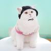 Breathable Sport Hat Anti Stripping Dog Bucket Hat Fashion Cat Fisherman Hat  Travel