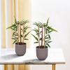 Реалистично выглядящий набор из 2 искусственных мини-бамбуковых растений, 29x10 см, для декора дома/офиса, зелень в коричневом пластиковом горшке