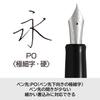 PILOT Custom Heritage 912 Posting PO (Fine Point Downward) black FKVH2MRBPO PILOT