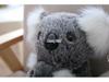 Koala Plush Toy - Cute Children's Gift